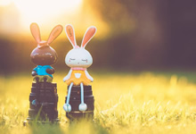 沃尔夫斯堡主教练赞扬球队表现，期待进一步努力