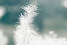 沃尔夫斯堡主教练赞扬球队表现，期待进一步努力