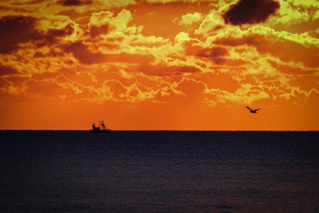 布莱顿海浪重装上阵，力抗强敌取胜